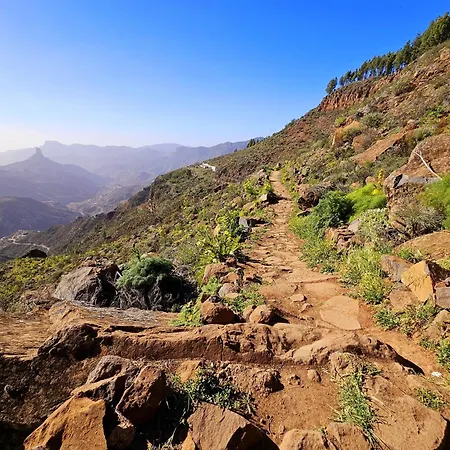 Pura Vida - 10 Min De Maspalomas Y Aeropuerto *